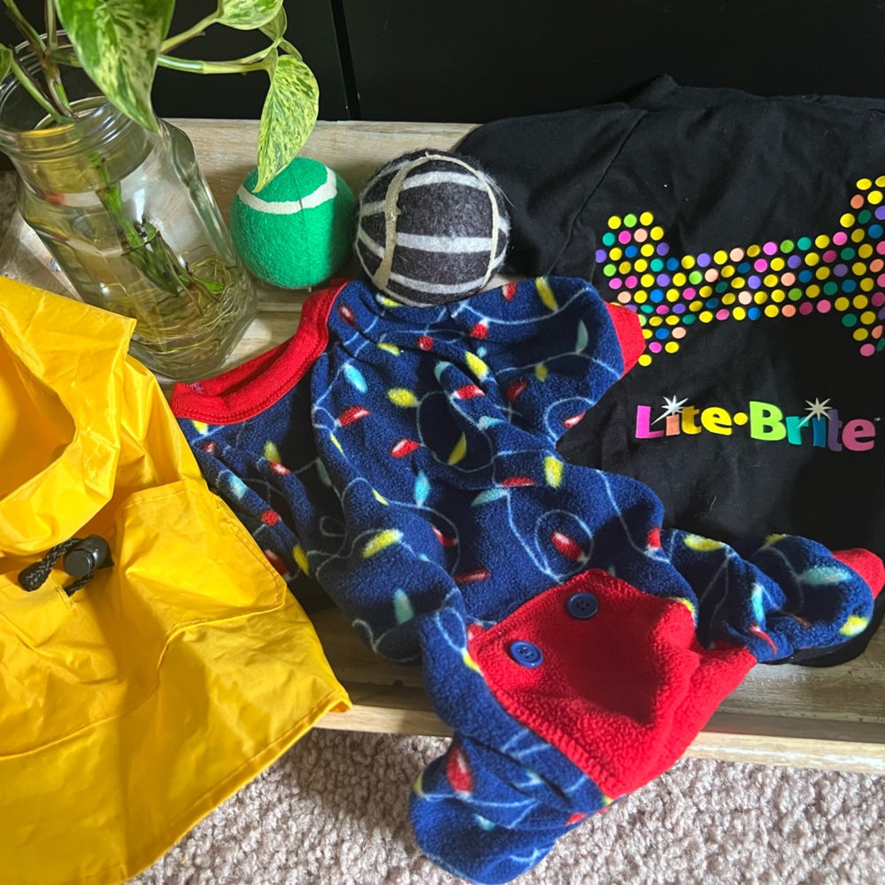 Small dog clothes